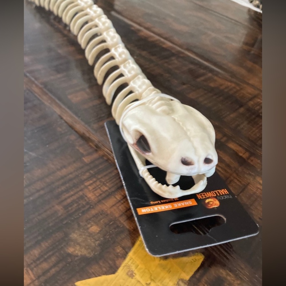 Skeleton snake
